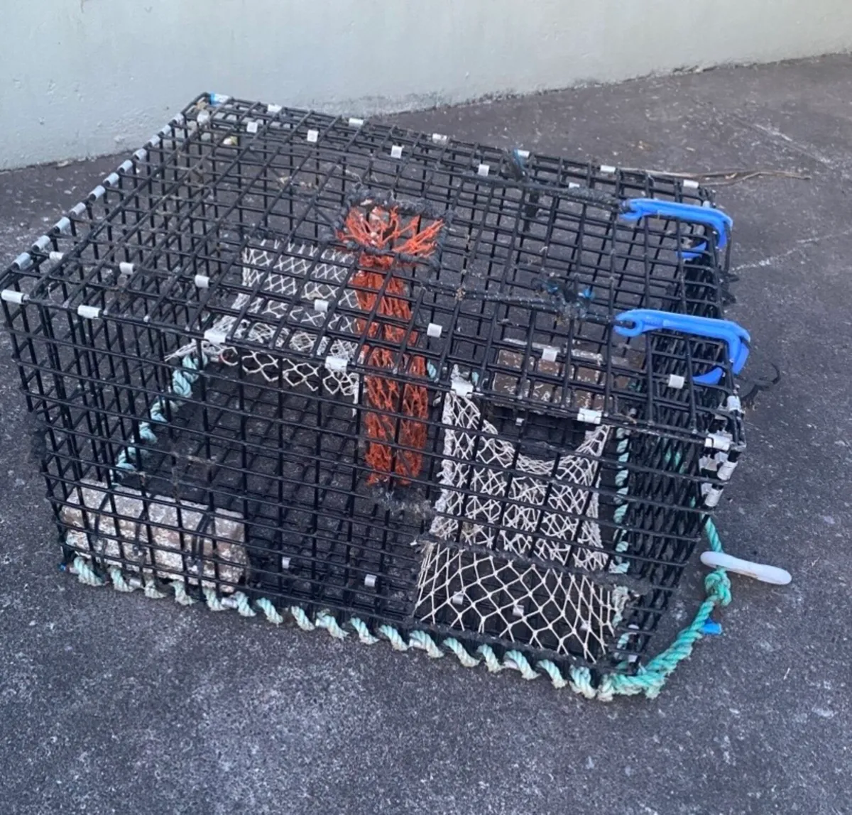 Lobster pots - Image 1