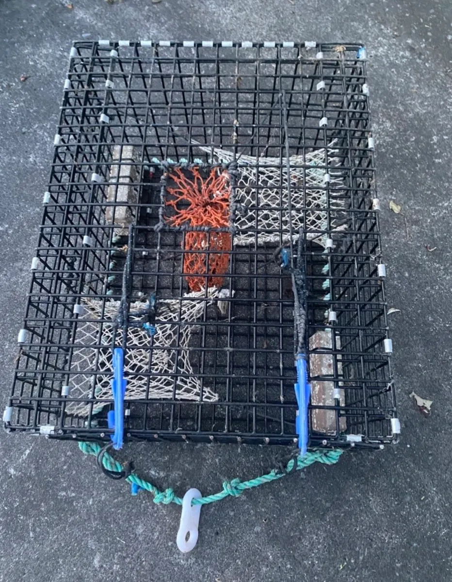 Lobster pots - Image 2