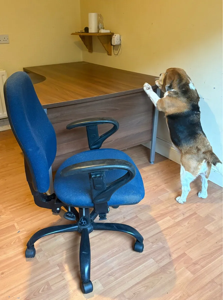 Corner desk - Image 3