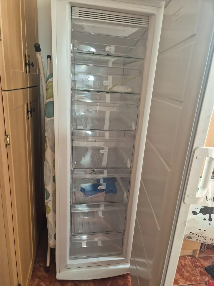 Zanuzzi Freezer for sale - Image 1