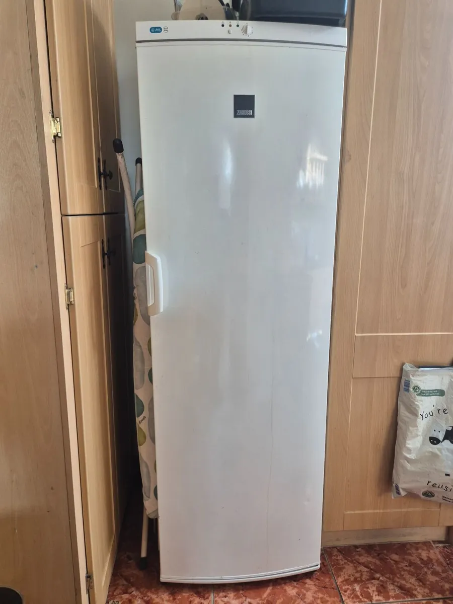 Zanuzzi Freezer for sale - Image 2