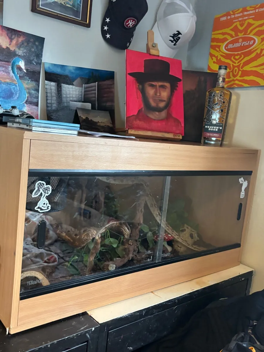 3ft vivarium with ceramic heat emitter