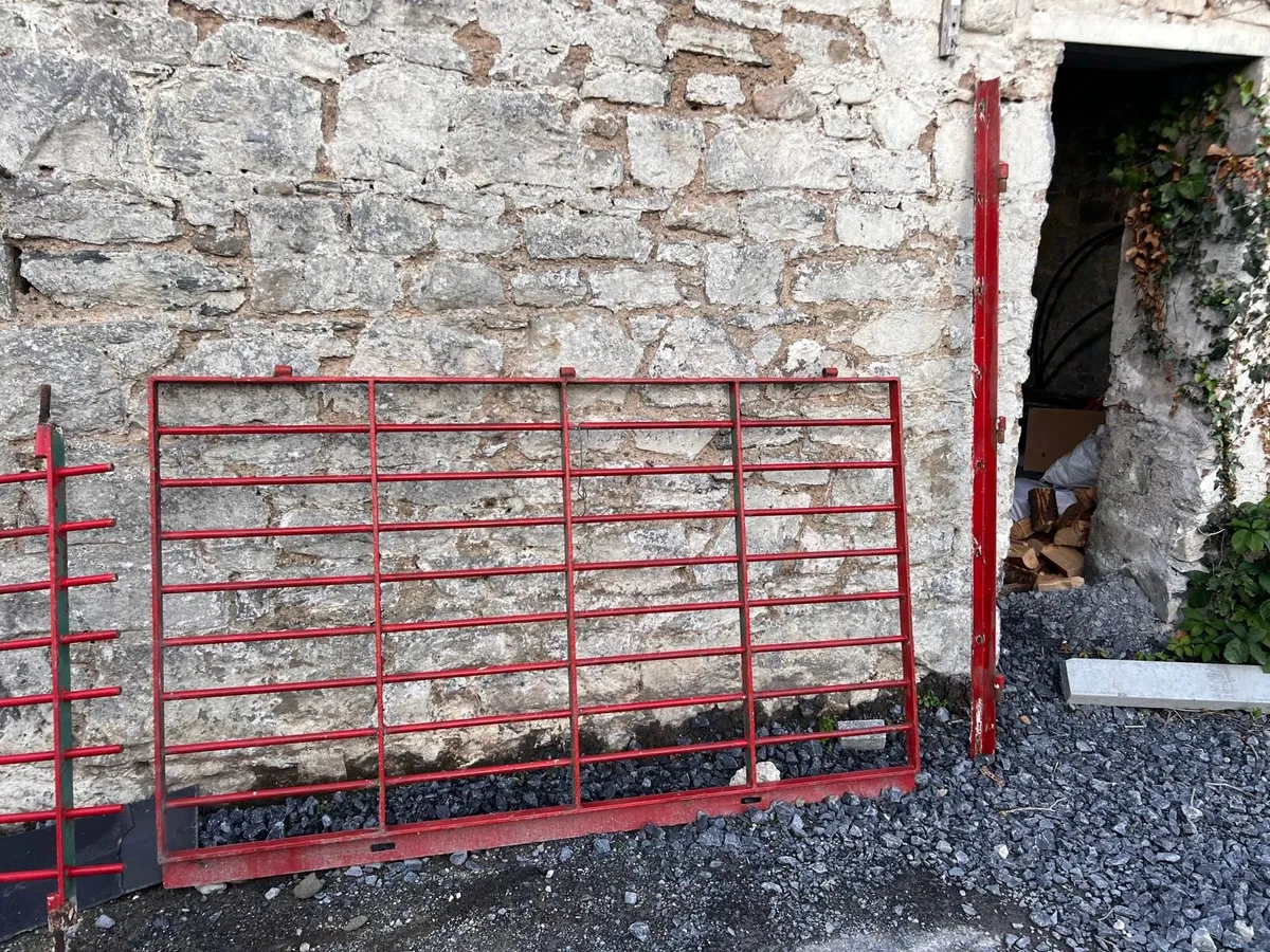 Heavy steel security gates - Image 1