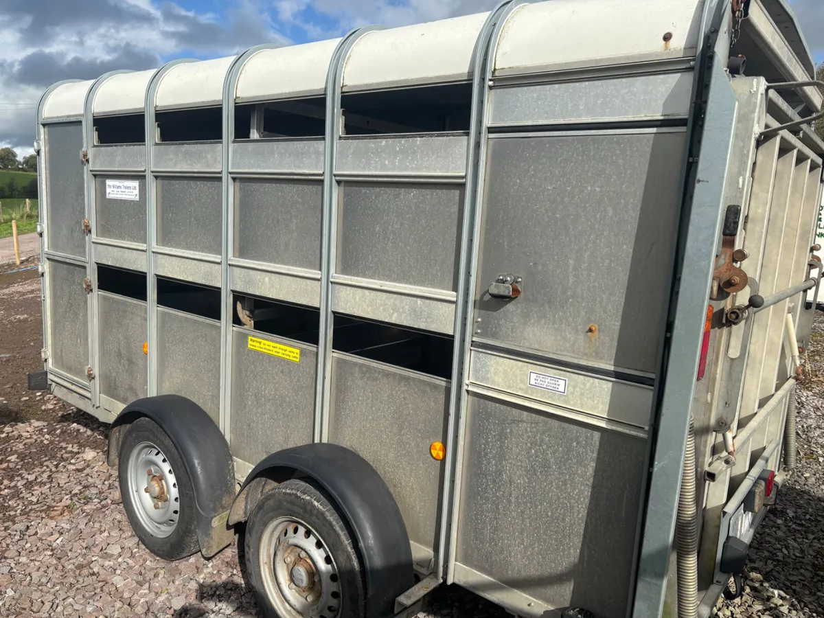 Ifor Williams 12ft x 5ft cattle / sheep trailer - Image 2