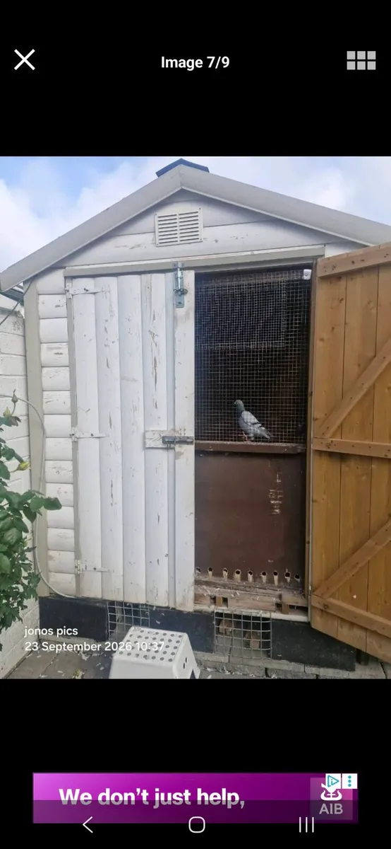 Pigeon loft - Image 2