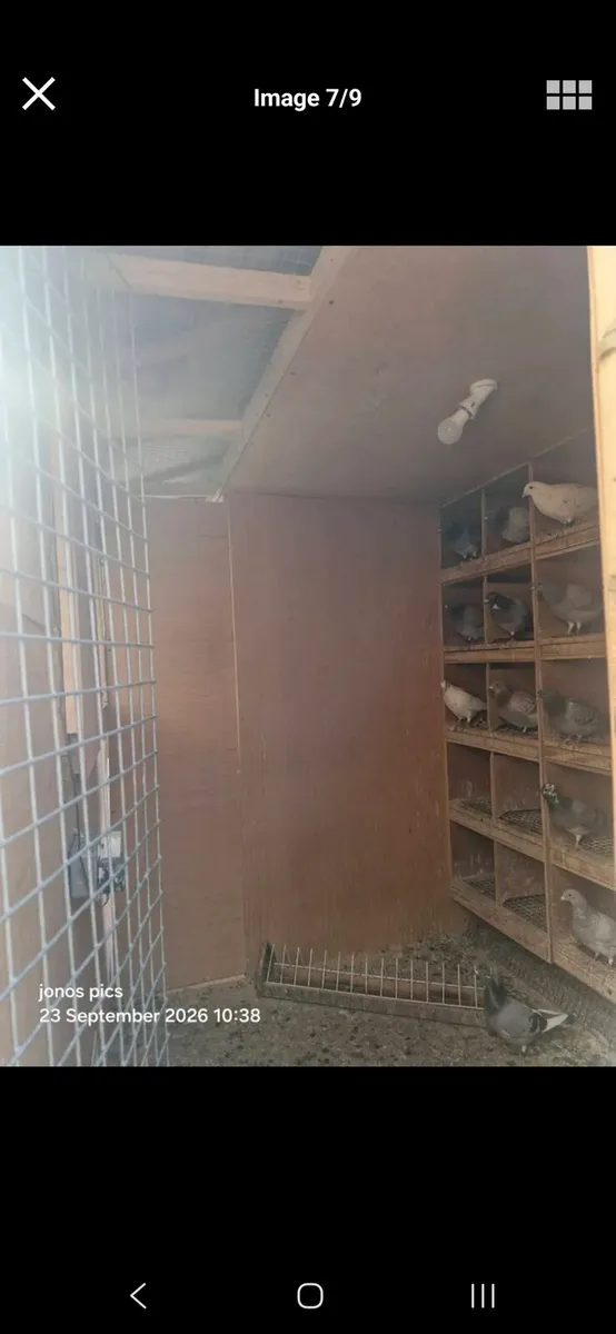 Pigeon loft - Image 1