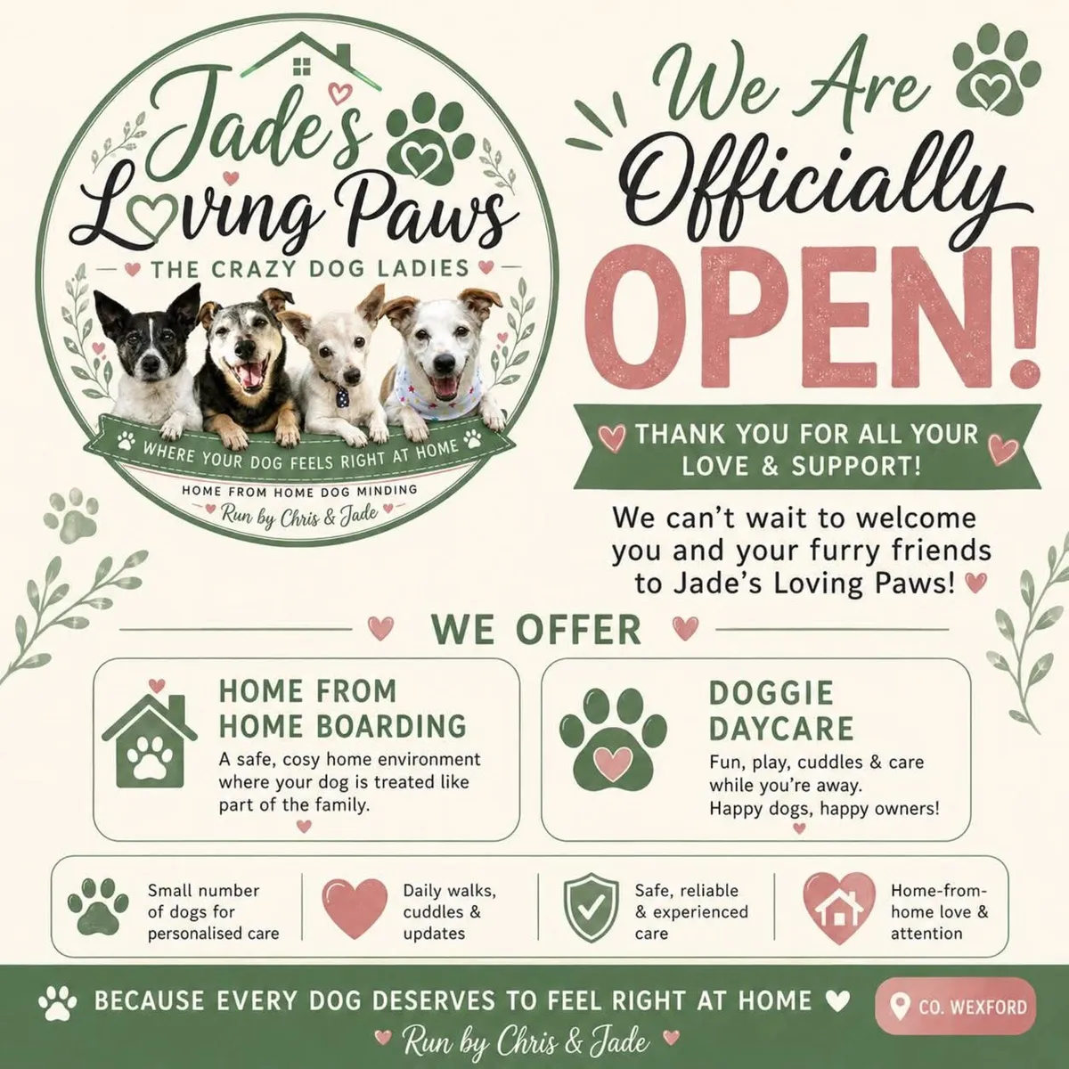 Daycare and home-from-home dog minding services