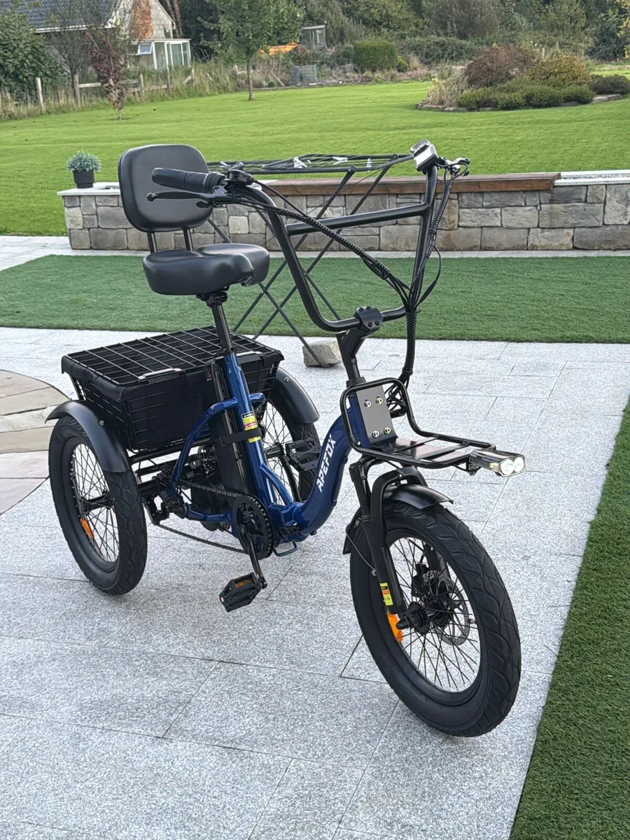 Brand new electric adults tricycle - Image 2