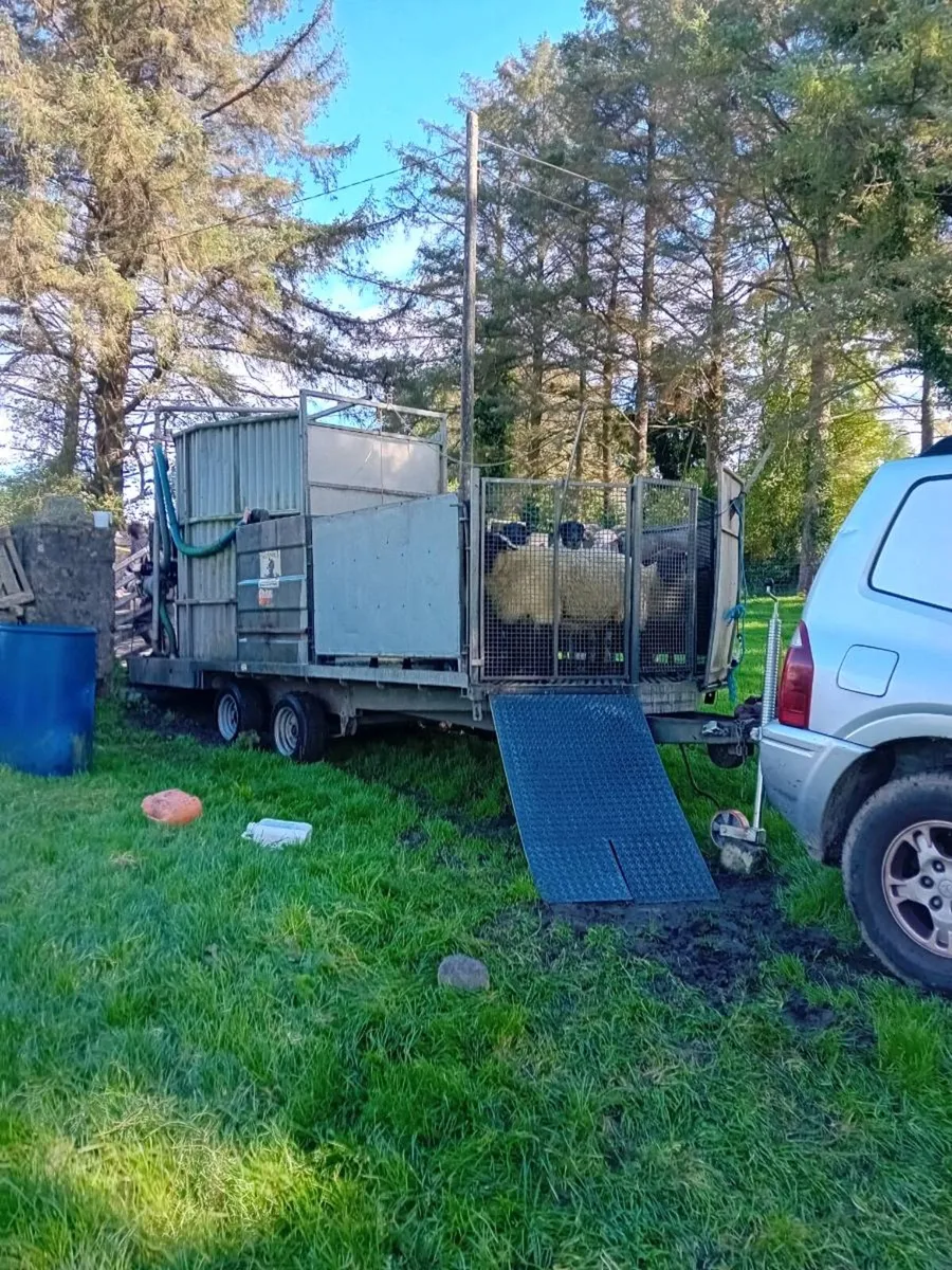 Mobile sheep dipping - Image 1