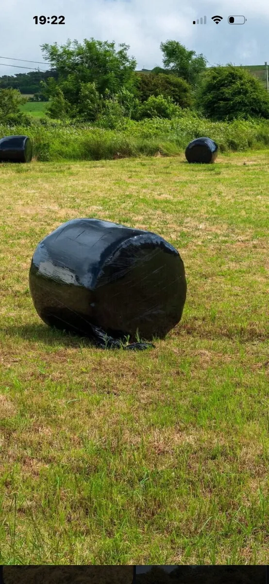Silage bales