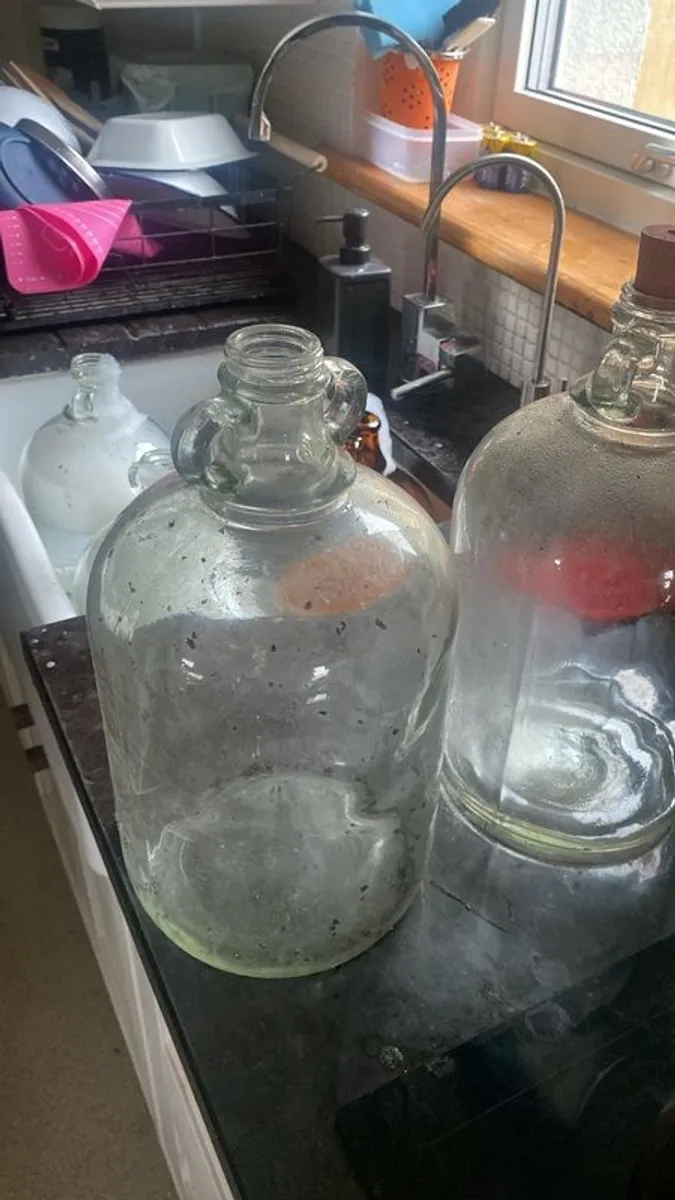4 Vintage Glass Demijohns - Image 1