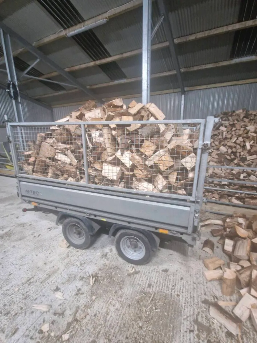 Fire  Wood - Image 2