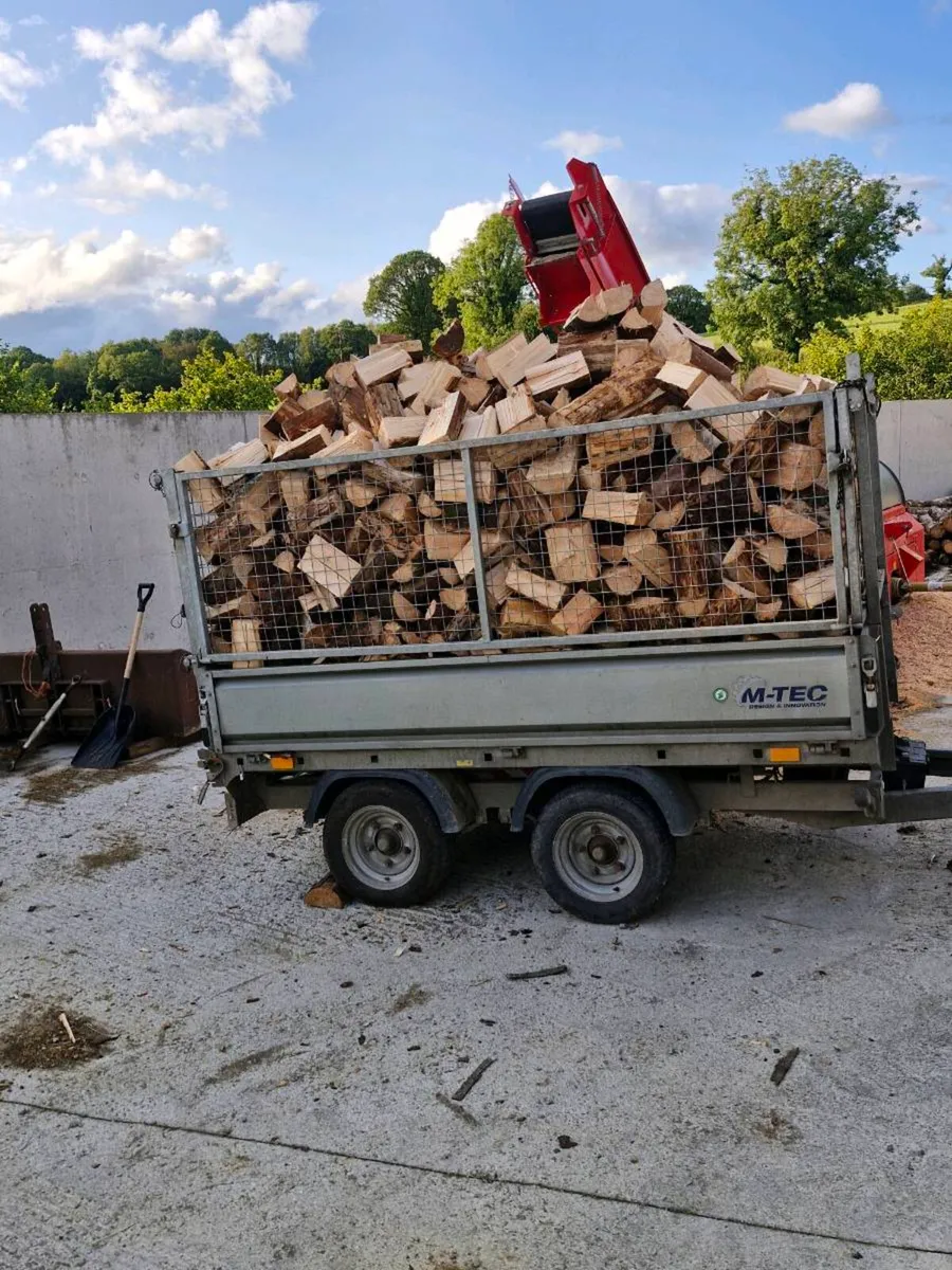 Fire  Wood - Image 1