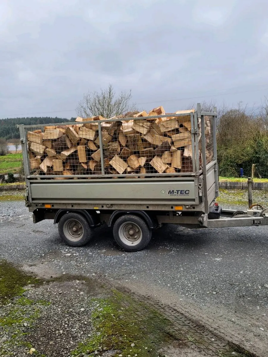 Fire  Wood - Image 4