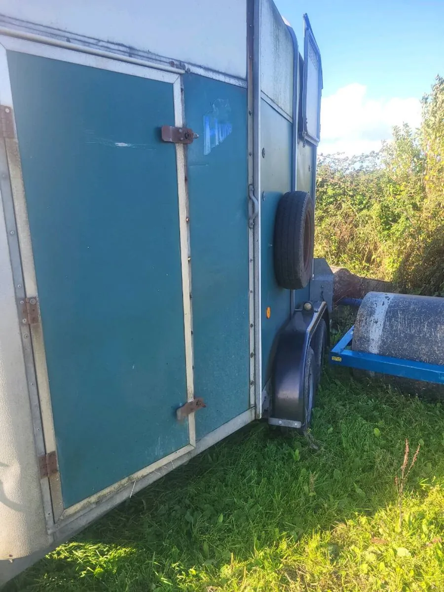HORSE BOX IVOR WILLIAMS  505 - Image 3