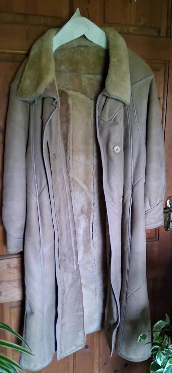Sheepskin coat - Image 1