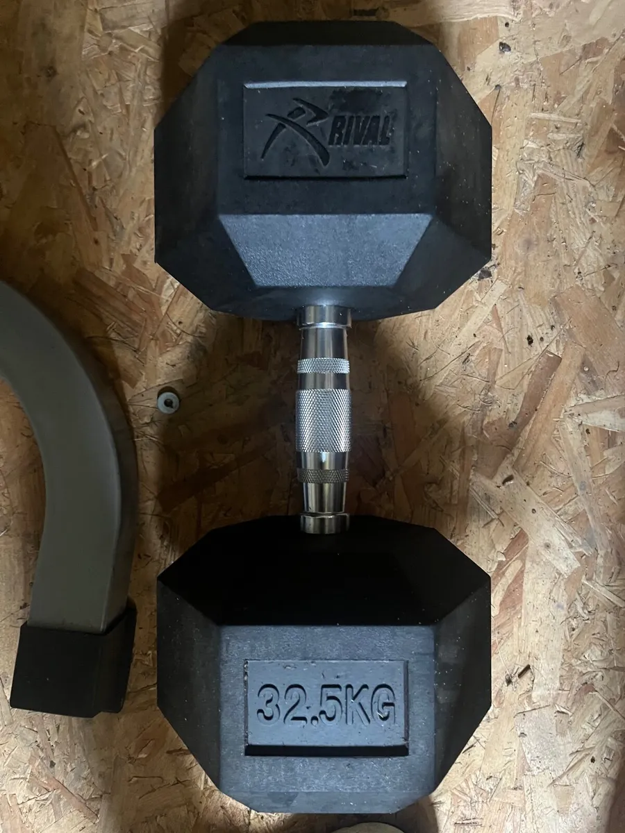 Rival 32.5 KG Dumbells