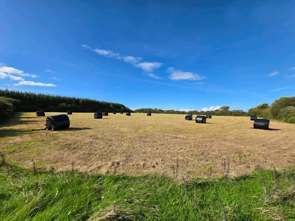 Silage Bales - Image 1