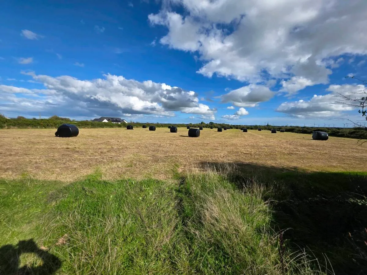 Silage Bales - Image 2