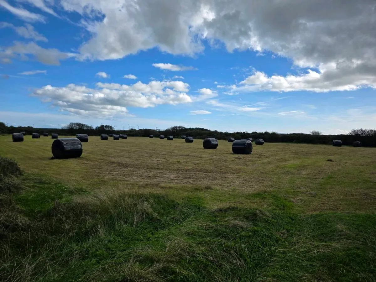 Silage Bales - Image 4