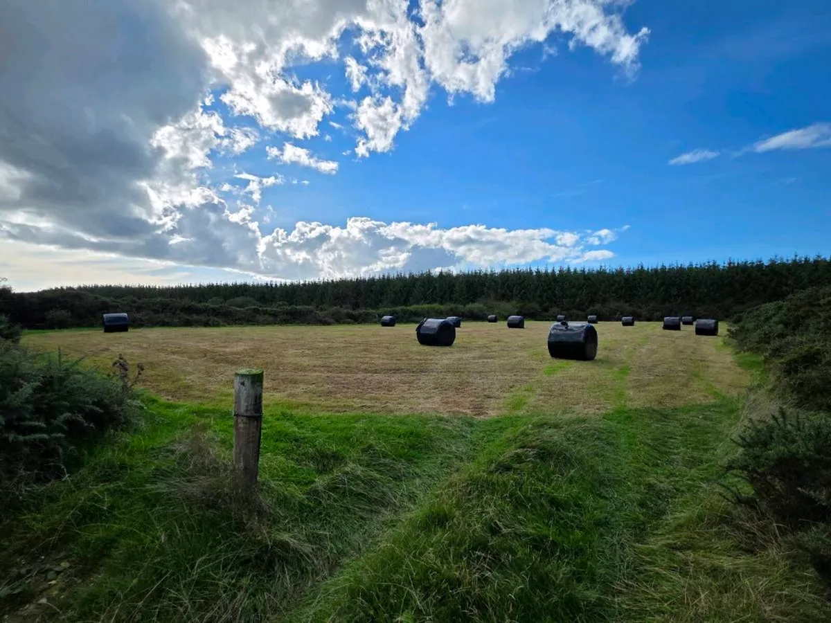 Silage Bales - Image 3