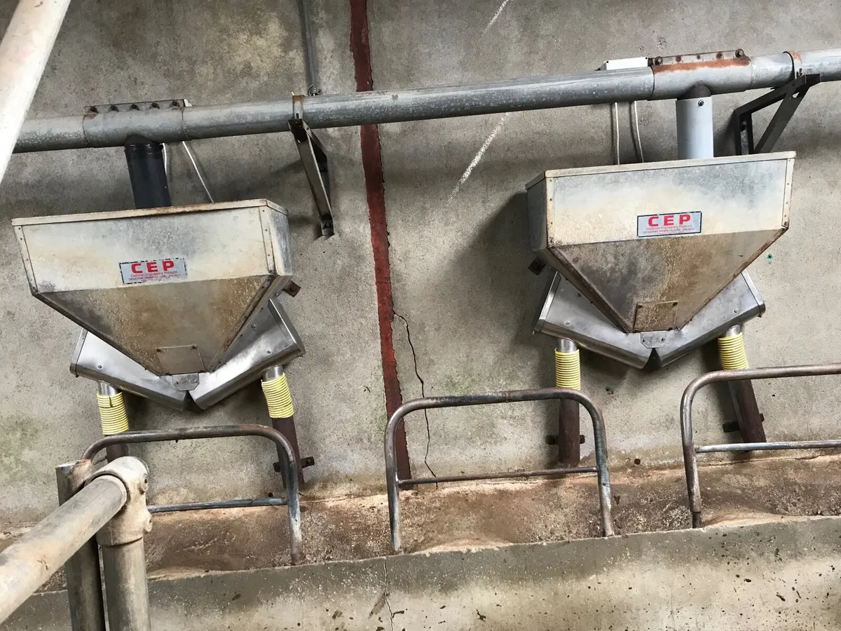 Cashman feeders - Image 1
