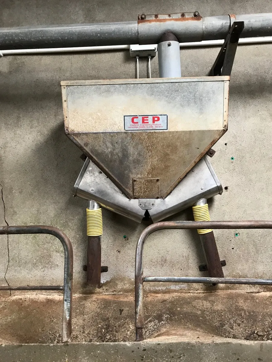 Cashman feeders - Image 2
