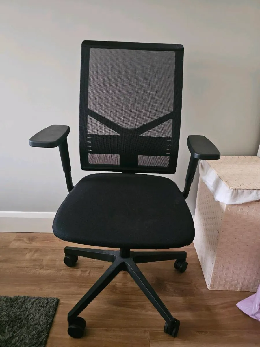 Ergonomic Office Chair - Image 1