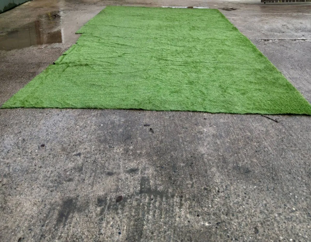 Fake Grass - Image 2