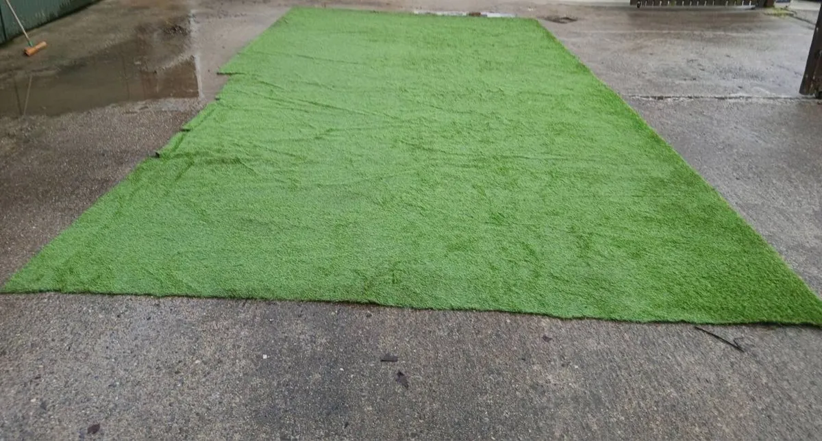 Fake Grass - Image 1
