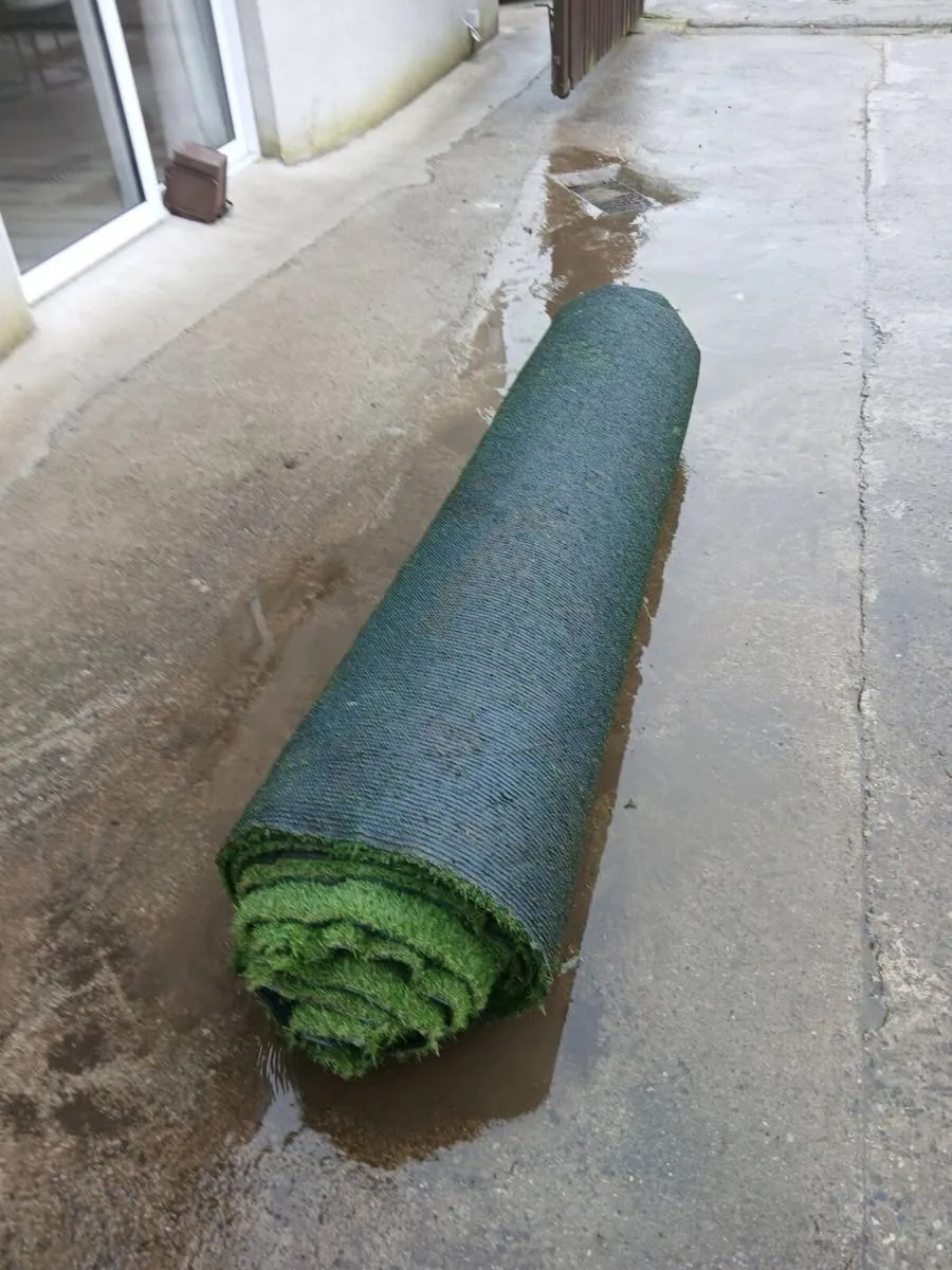 Fake Grass - Image 4