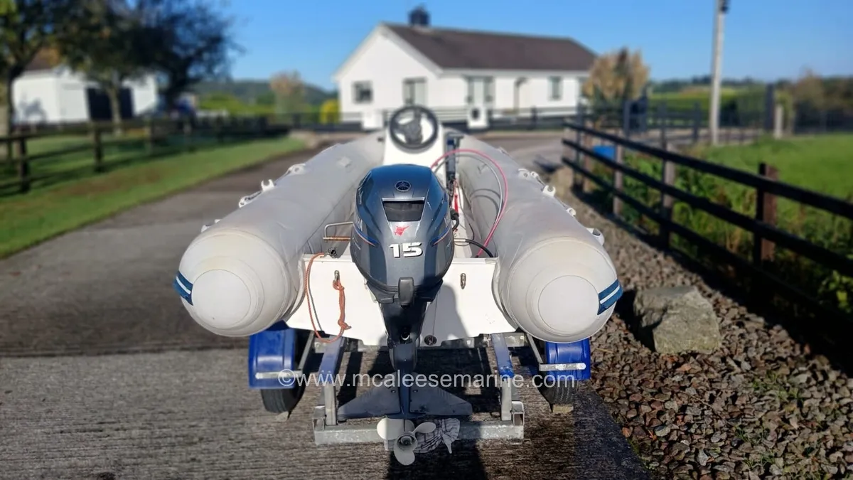 Avon 310 rib - Image 3