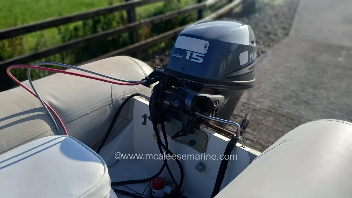 Avon 310 rib - Image 4