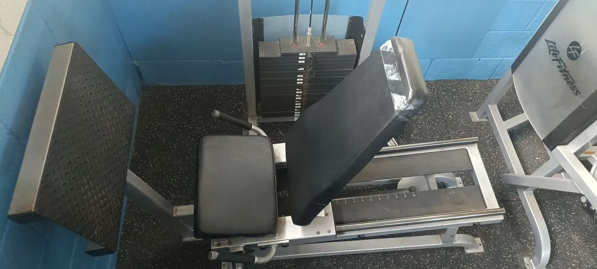 Leg Press - Image 2