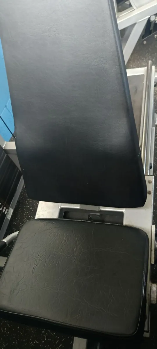 Leg Press - Image 3