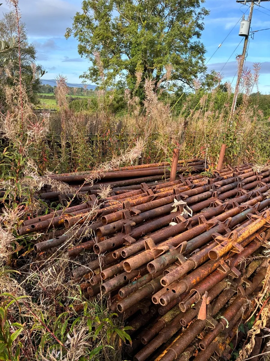 Scaffolding - Image 2