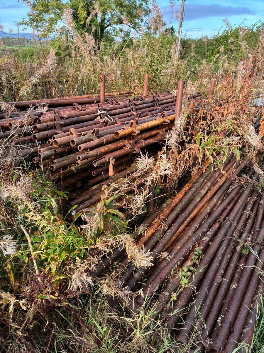 Scaffolding - Image 1
