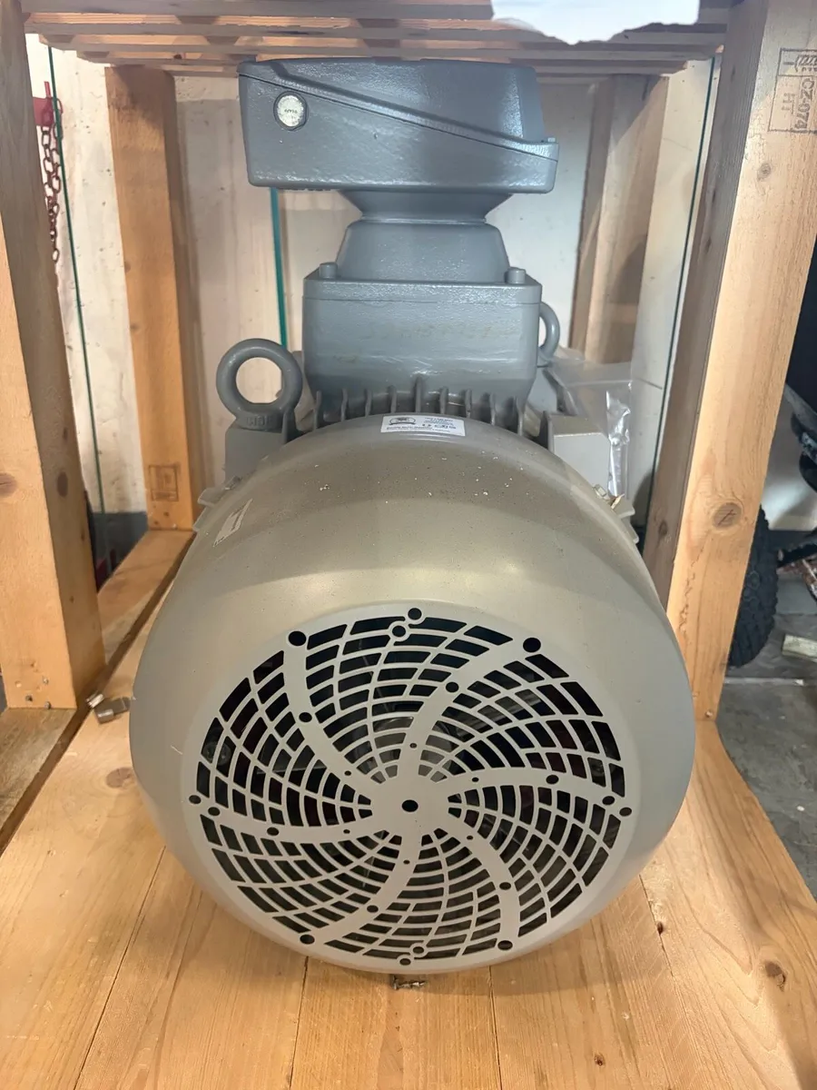 Large industrial motor - Image 1