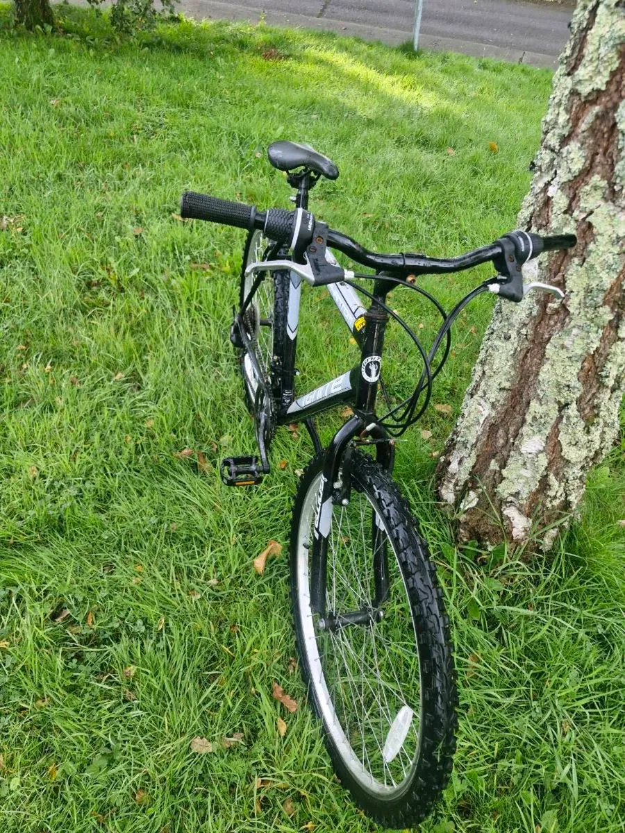 Adults bike for sale - Image 1