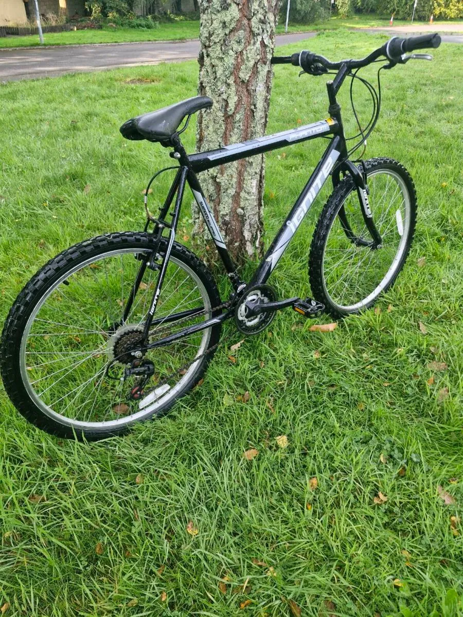 Adults bike for sale In good condition - Image 2