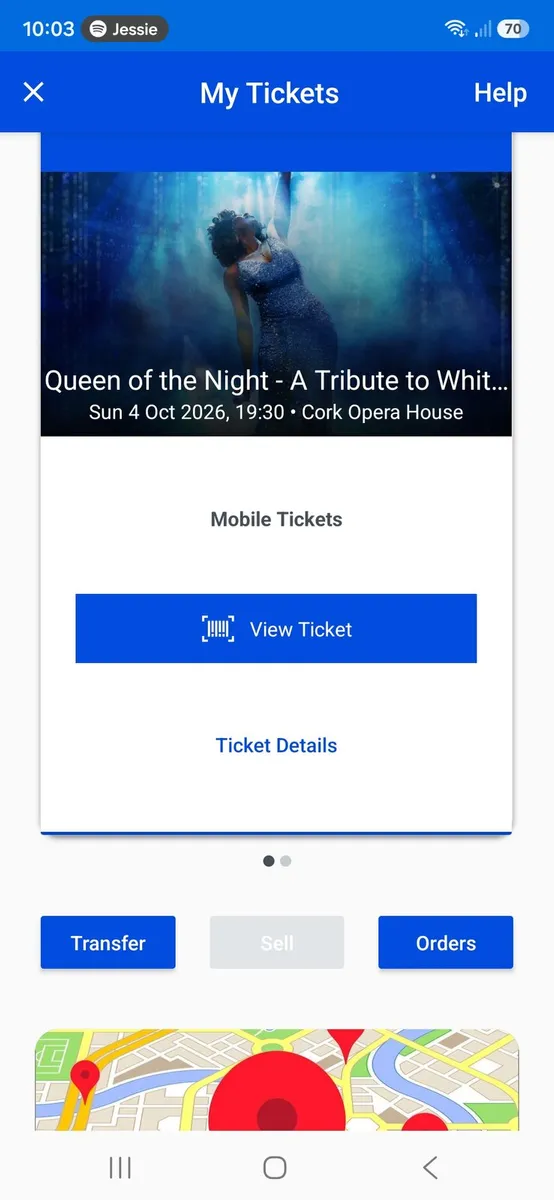 Whitney Houston Queen of the Night Tribute