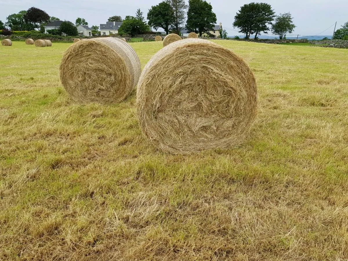 Hay Bales