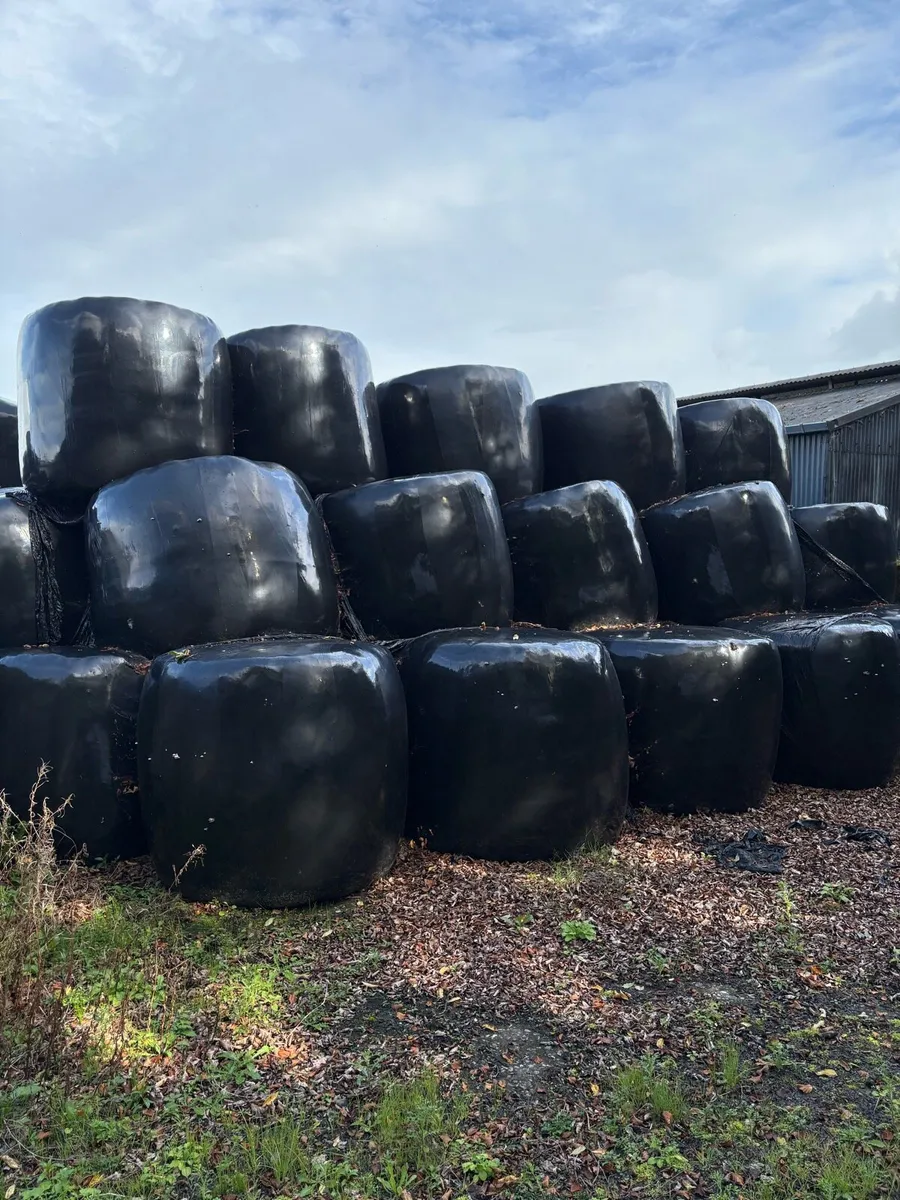 Silage bales
