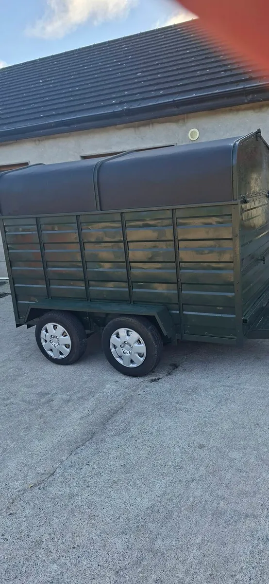Trailer 8 x 5 - Image 1