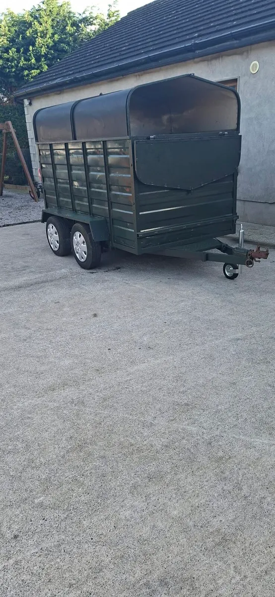 Trailer 8 x 5 - Image 2