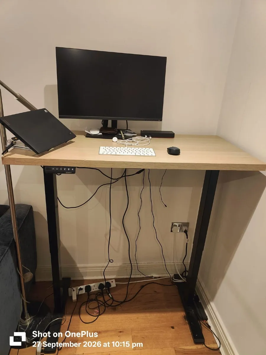 Flexispot Electric Standing Desk - Image 1