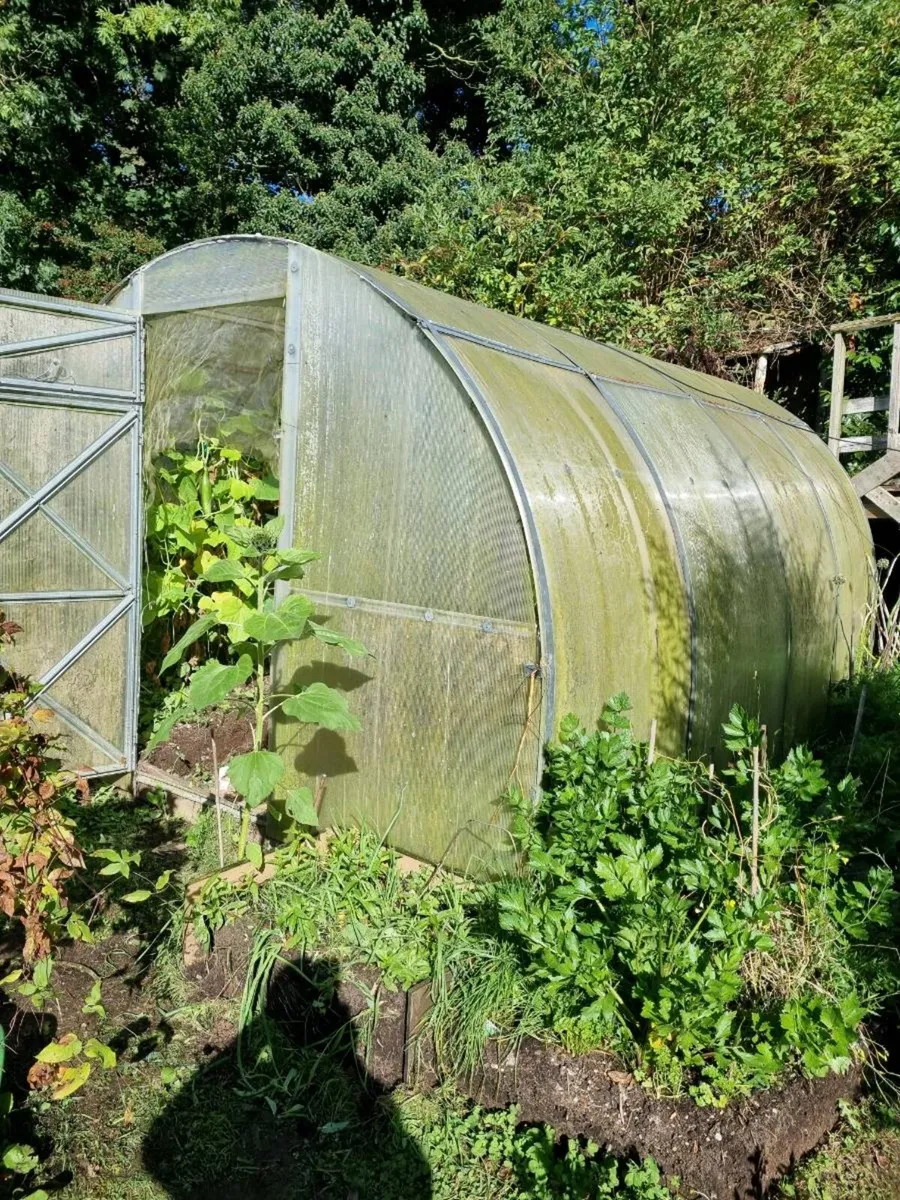 greenhouse
