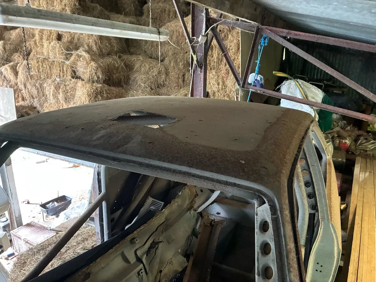 Mk2 escort for cuts - Image 2