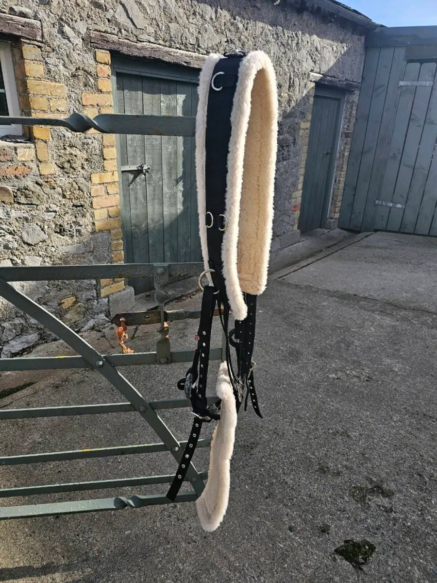 Breaking roller and side reins - Image 1
