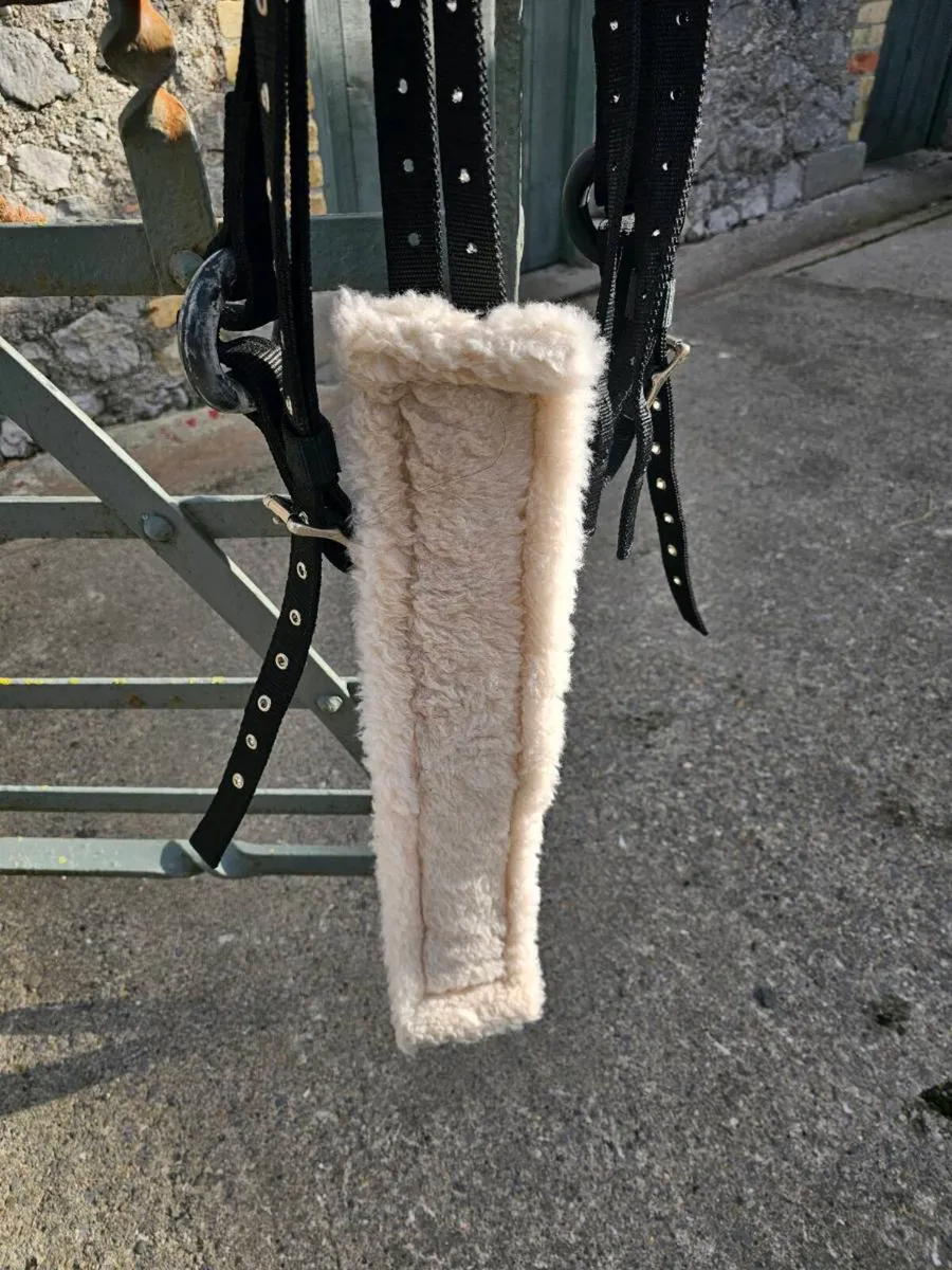 Breaking roller and side reins - Image 2